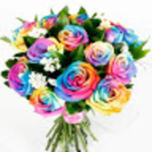 Meet your Posher, Rina